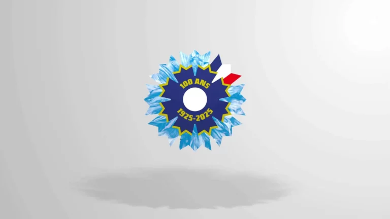 Bannière - Les bleuets - Une Centenaire