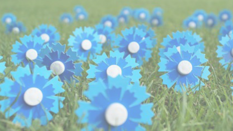 Groupe CMP - Le Bleuet